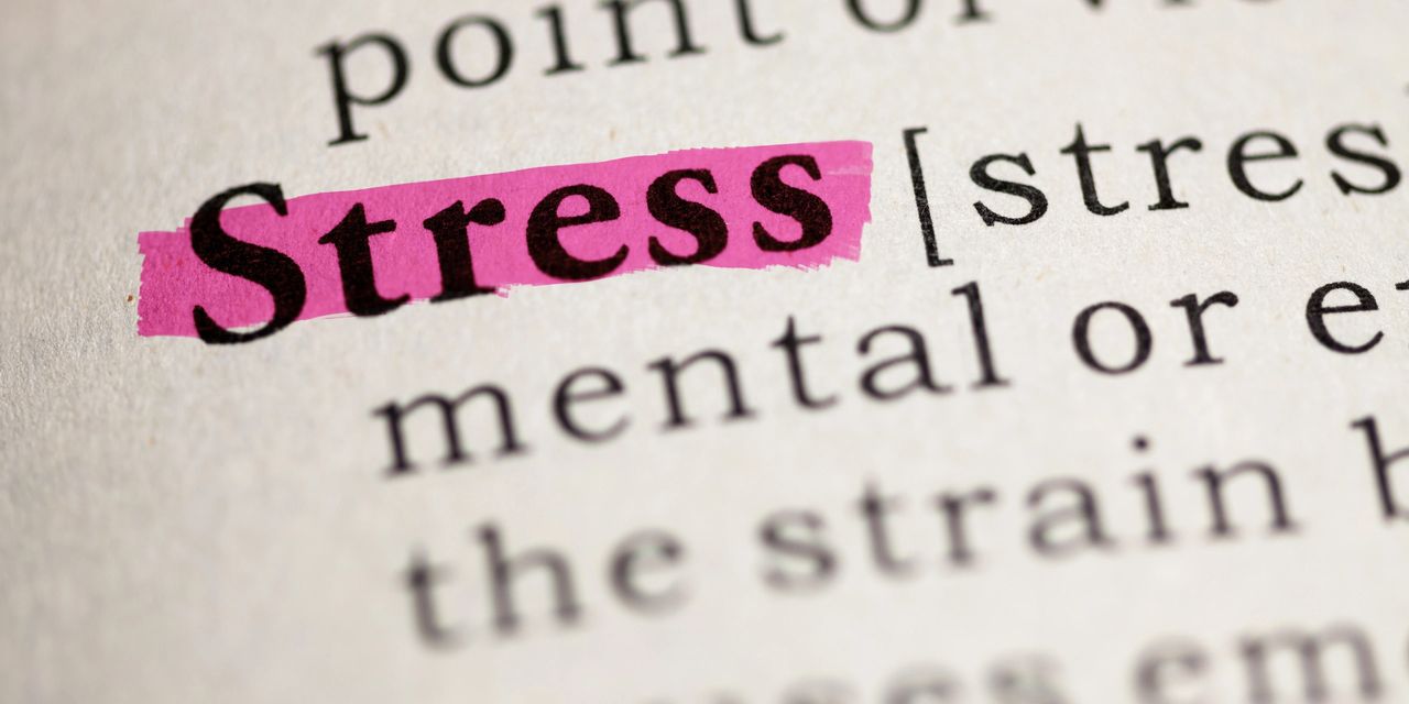The word "stress" highlighted in bright pink.