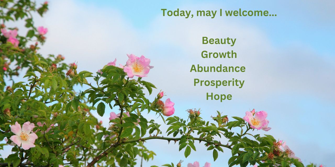 Today, may I welcom beauty, growth, abundance, prosperity, hope.