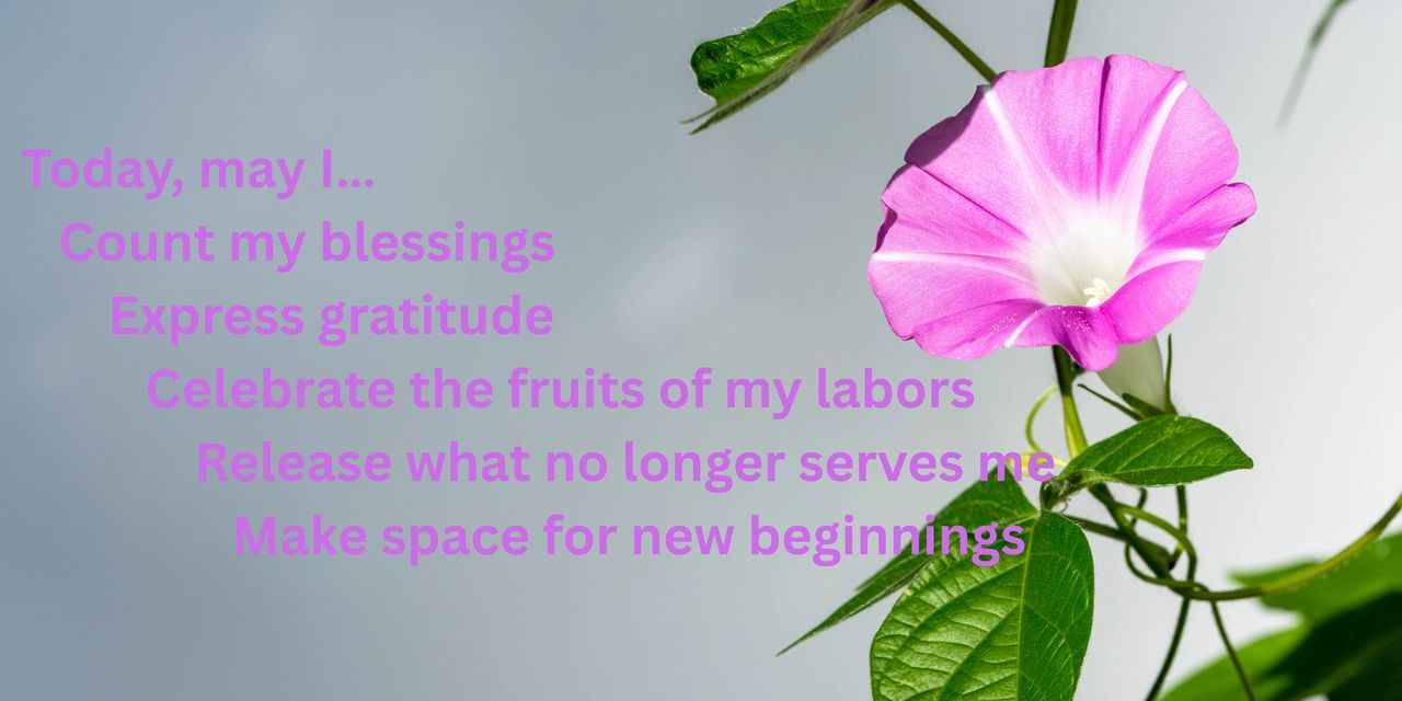Today, may I… Count my blessings,  Express gratitude for the abundance in my life, Celebrate the fruits of my labors, Release what no longer serves me, Make space for new beginnings