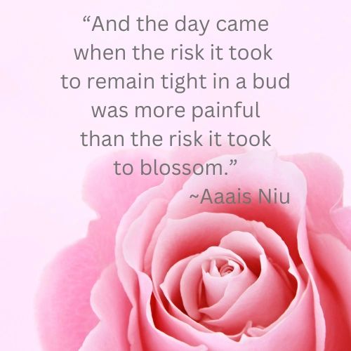 Pink rose bud background. "And the day came when the risk it took to remain tight in a bud was more painful than the risk it took to blossom." ~Aaais Niu