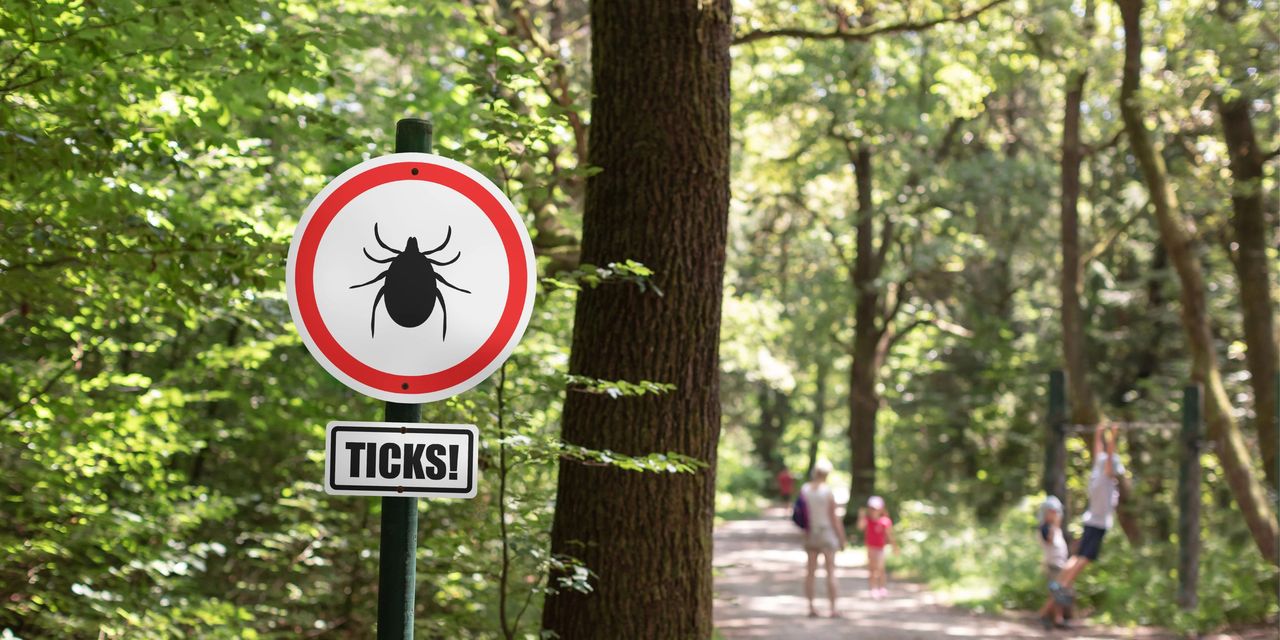 Tick warning sign alongside a trail through a wooded area.