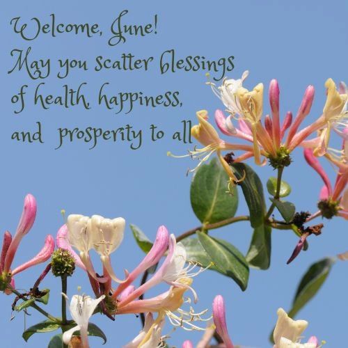 Photo of a honeysuckle vine with the following quote: Welcome, June! May you scatter blessings of health, happiness, and prosperity to all.