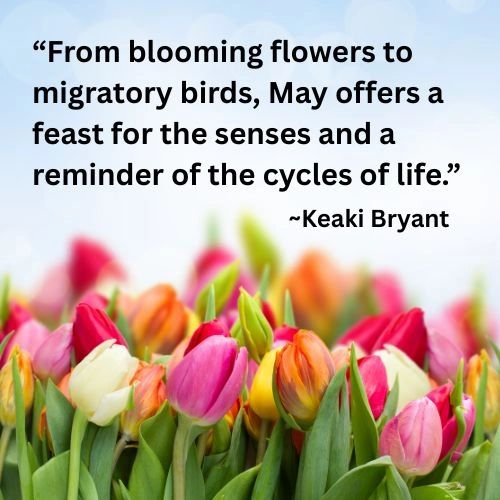 "From blooming flowers to migratory birds, May offers a feast for the senses and a reminder of the cycles of life." `Keaki Bryant