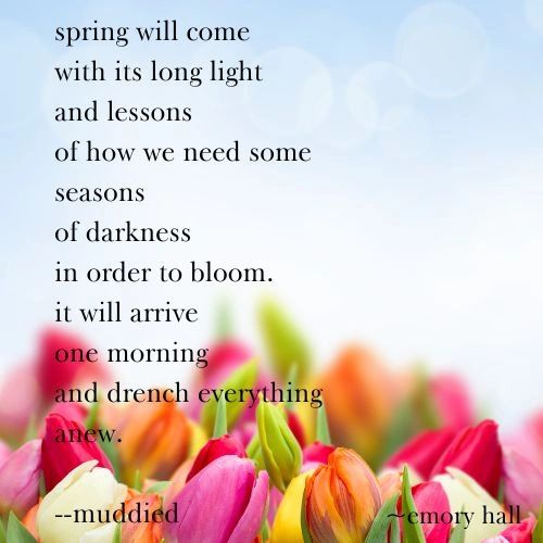 Poem by emory hall: spring will come with its long light and lessons of how we need some seasons of darkness in order to bloom. it will arrive one morning and drench everything anew.  --muddied