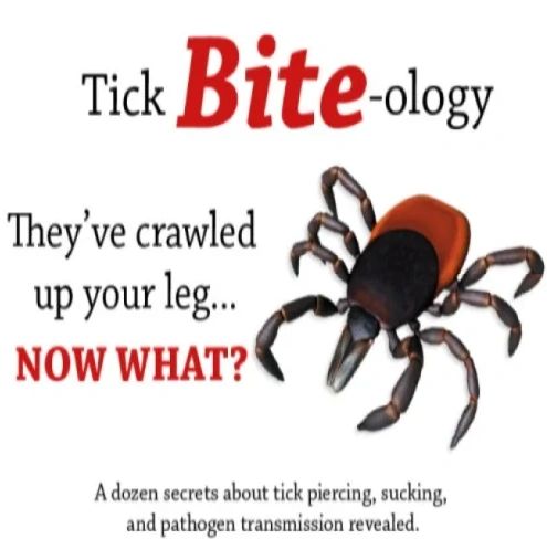 Tick Bite-ology; They've crawled up your leg...now what?