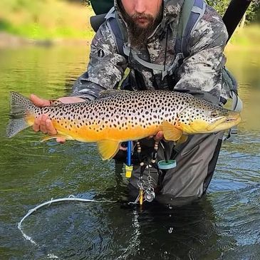 Synergy FlyFishing, Guided Trips