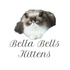 Bella Bella's Kittens