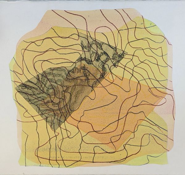 Abstract art with layered colors and contour lines.