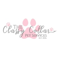 The Classy Collar 
