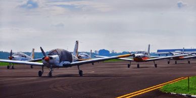 Row of small airplanes parked on a runway.