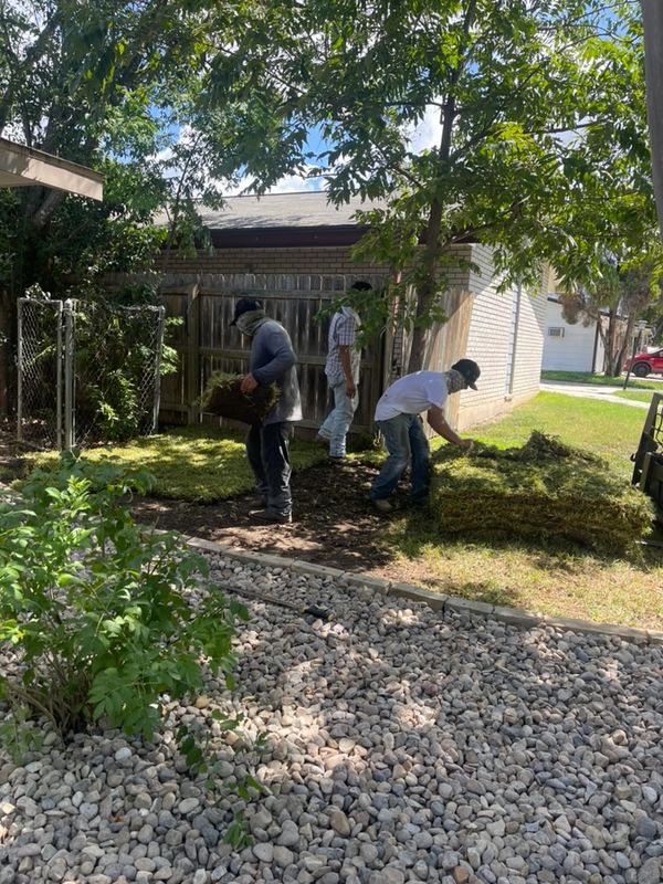 Three workers laying sod in a backyard garden area on a sunny day.