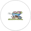 Six Acres Flower Farm