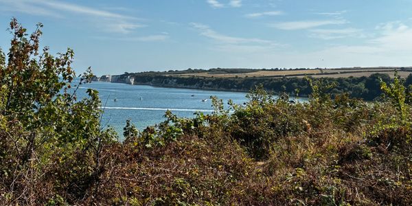 Coastal view with blue water, boats, and greenery under a partly cloudy sky.
