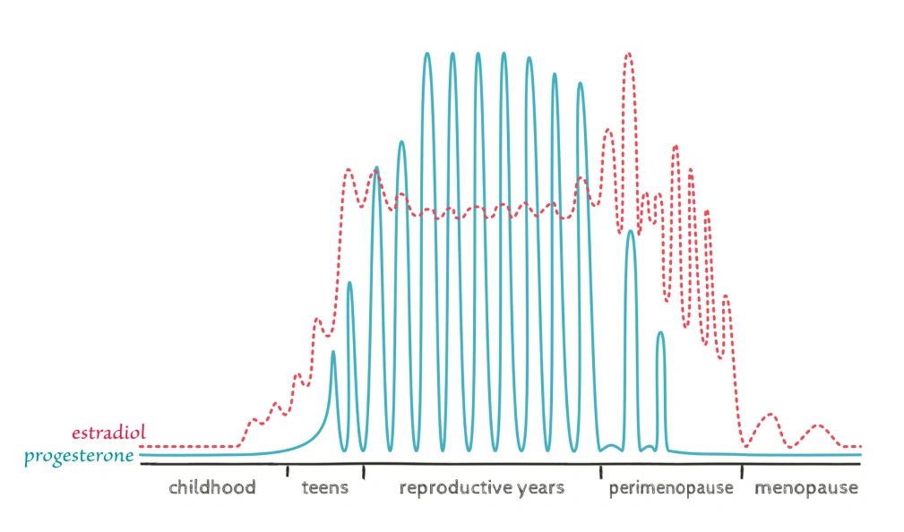 Reproductive Years Chart