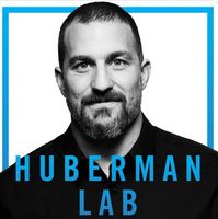 huberman lab podcast