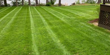Freshly cut lawn, portraying beautifully executed striping. 