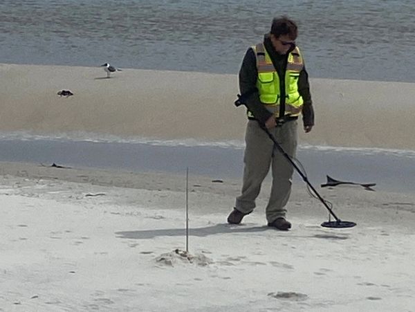 PCARG Staff conducting metal detector survey, Dauphin Island Alabama.  