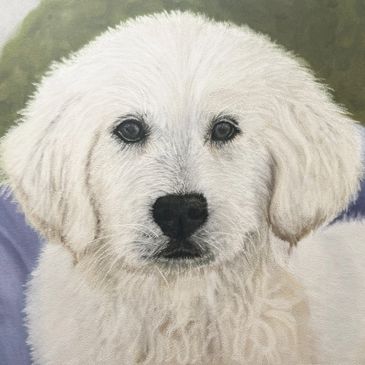 Close-up of a fluffy white puppy with dark eyes and nose.