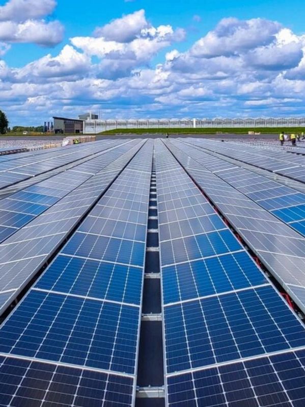 Expansive solar panel field under a blue sky with fluffy clouds.