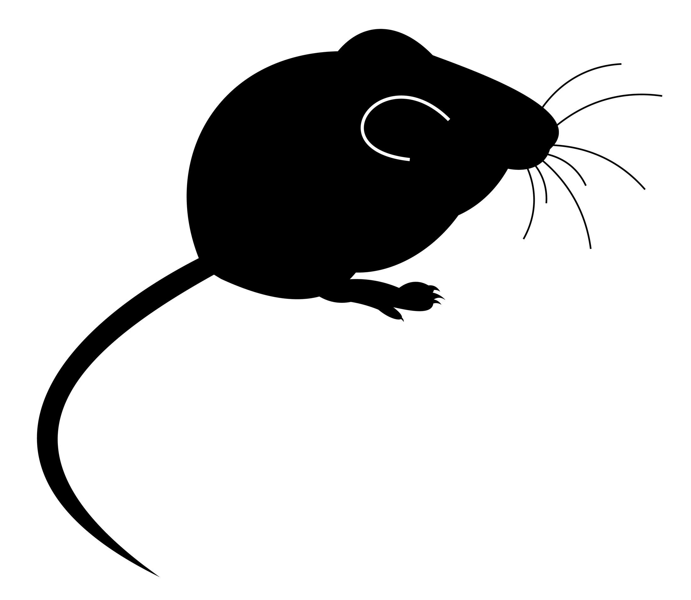 Мышь силуэт на прозрачном фоне