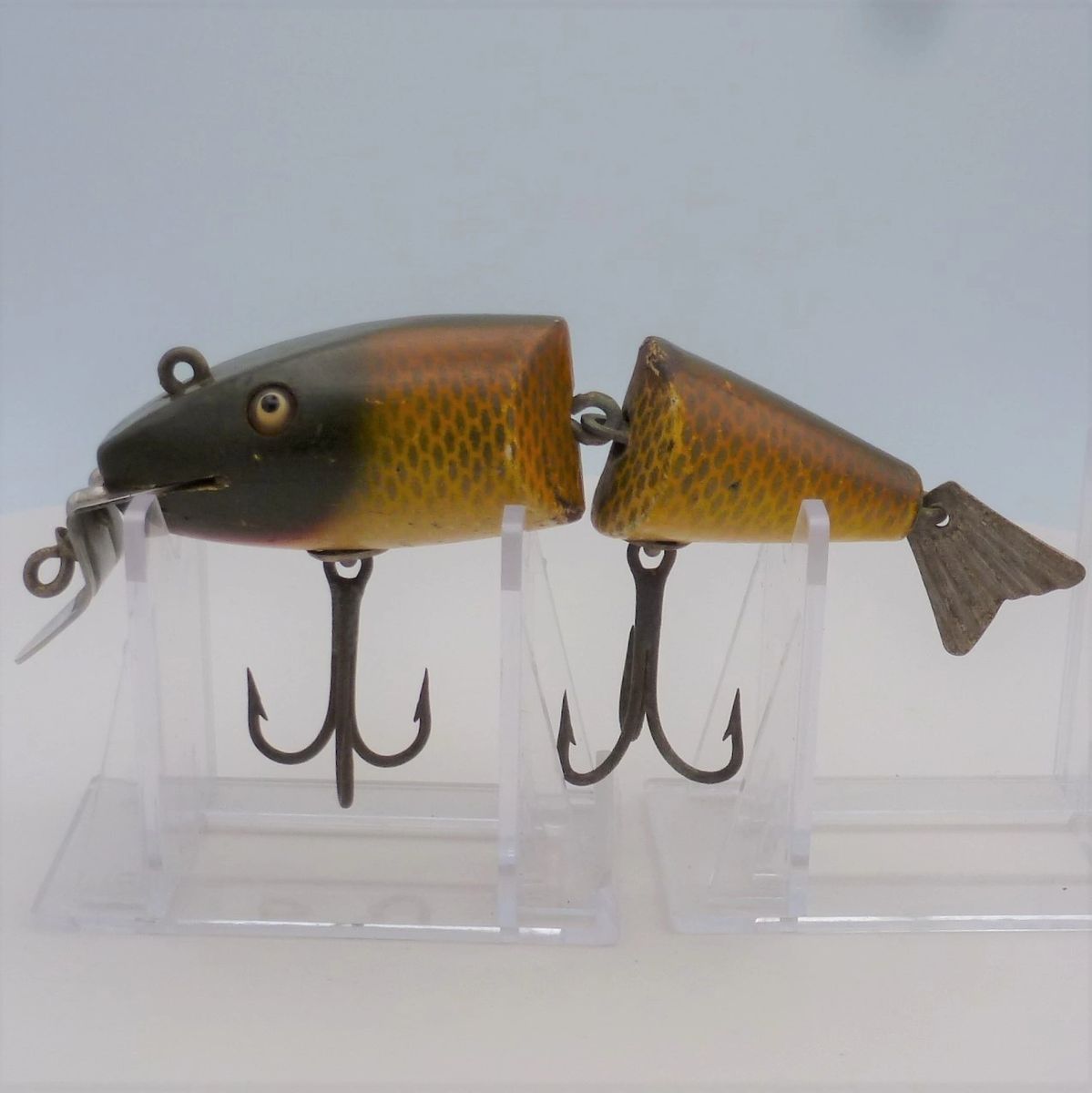 Glass-Eyed Creek Chub Wiggle Fish in Golden Shiner