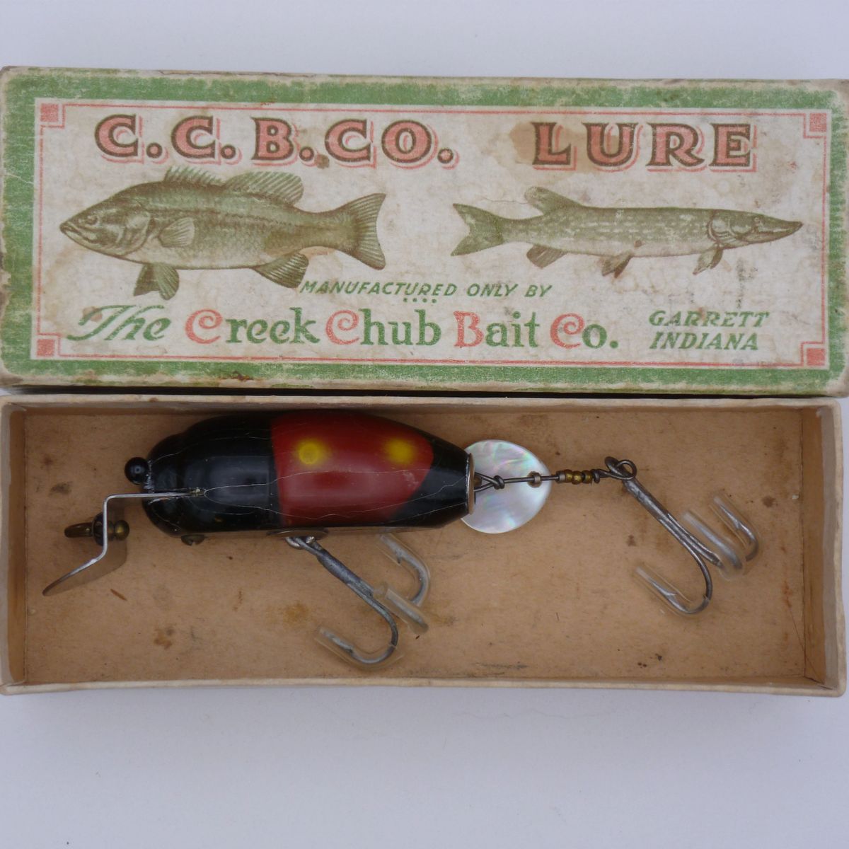 Creek Chub 3855 Beetle in End Label Box