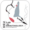 MAKU, Lab of Ornithology