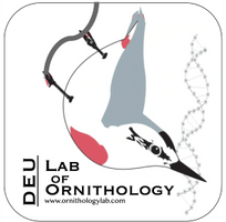 MAKU, Lab of Ornithology