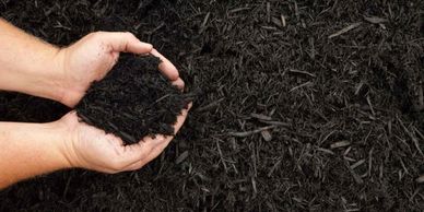 Hands holding rich, dark mulch for gardening or landscaping.