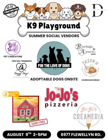 Flyer for K9 Playground summer social with adoptable dogs and vendors.