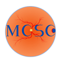 Retina MCSC
 



