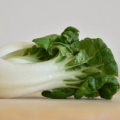 Image of Bok choy on page for how to grow Bok choy in the garden.