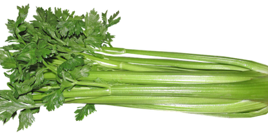 Image of celery, link to how to grow celery in the garden.