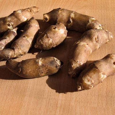 image of sunchokes.
