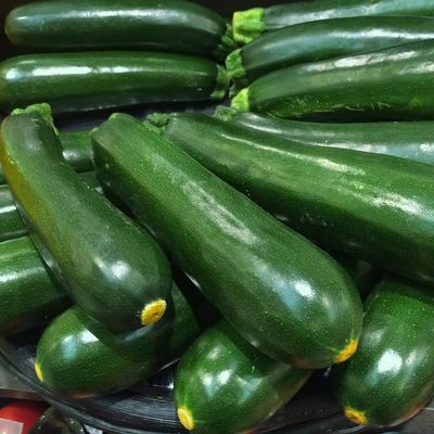 Garden Zucchini