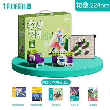 Educational PUNGROW Level 4 math building blocks set with 224 pieces and five instruction booklets.