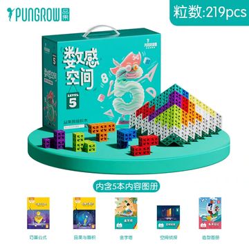 PUNGROW Level 5 educational building blocks set with 219 pieces and 5 instructional books.