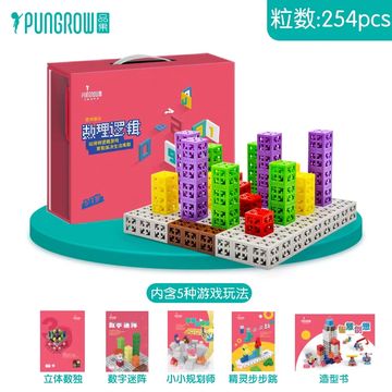 Educational PUNGROW building blocks set with 254 pieces for kids aged 5-7.
