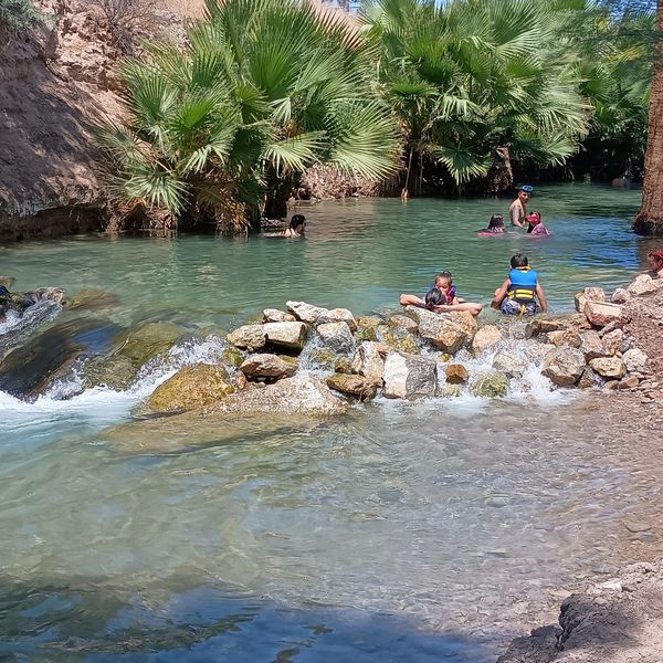 People enjoying a natural pool in a rocky, palm-surrounded river area.