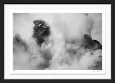 Infrared; black & white; Wildlife; Yellowstone; Hayden Valley; Buffalo; Bison; Bison Rut; roll; Dust