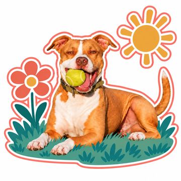 Happy dog with a tennis ball, sun, and flower sticker.