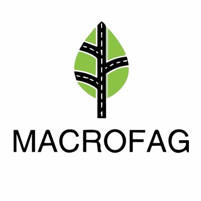 Logo showing a green leaf with black road-like lines and the word MACROFAG.