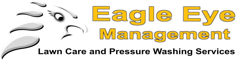 Eagle Eye Management