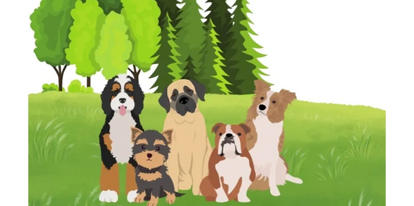 dog waste