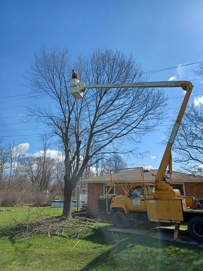 Tree Removal happening in Niagara County with a man in a bucket lift cutting down branches of a tree