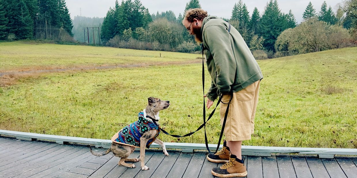 Dog trainer training a dog outside. 