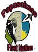 Papaschase First Nation IR 136