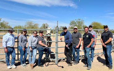Arena Corporate Team Building