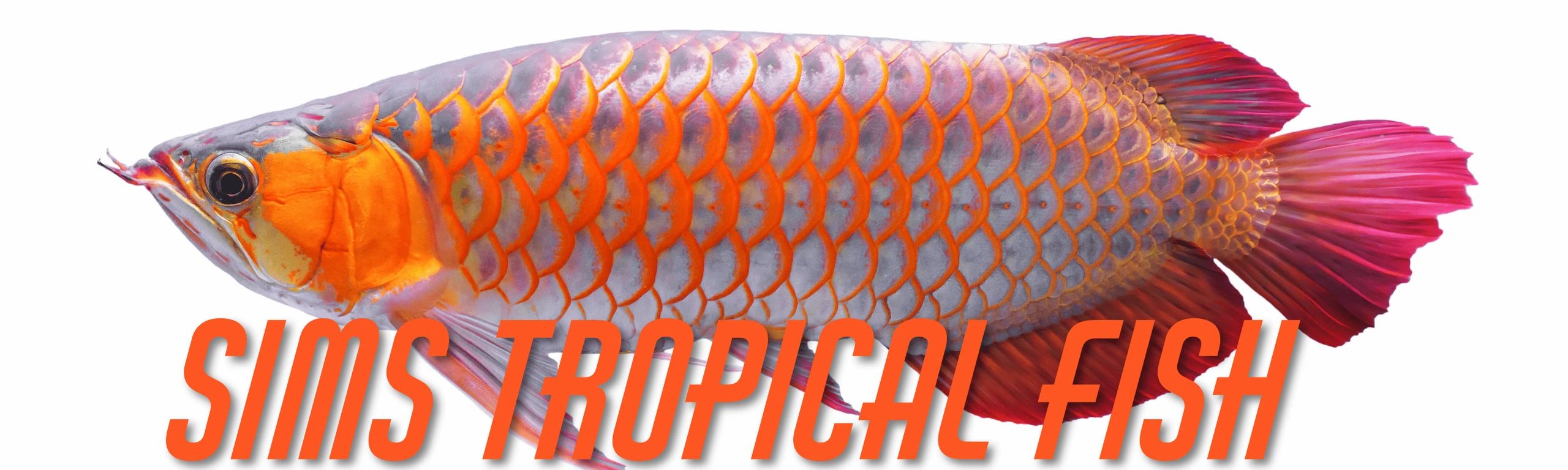 simstropicalfish.co.uk