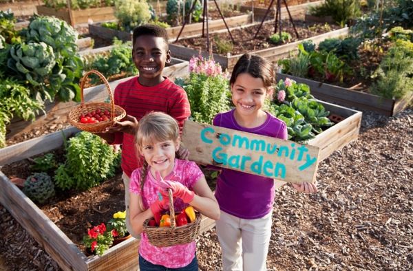Kids in communities garden ThriveCom 